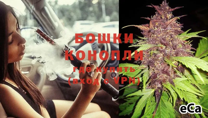 blacksprut вход  Иланский  Бошки Шишки White Widow 